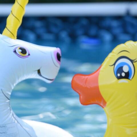 Hot N Cold