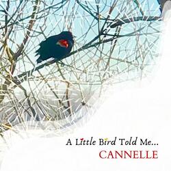 A Little Bird Told Me