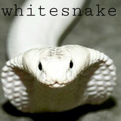 WhiteSnake