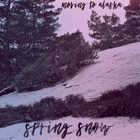 Spring Snow