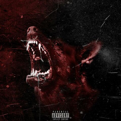 Wolves