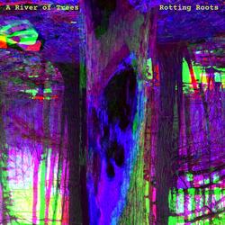 Rotting Roots