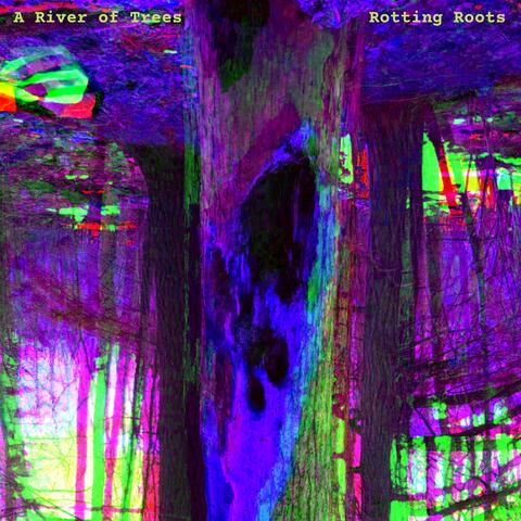 Rotting Roots