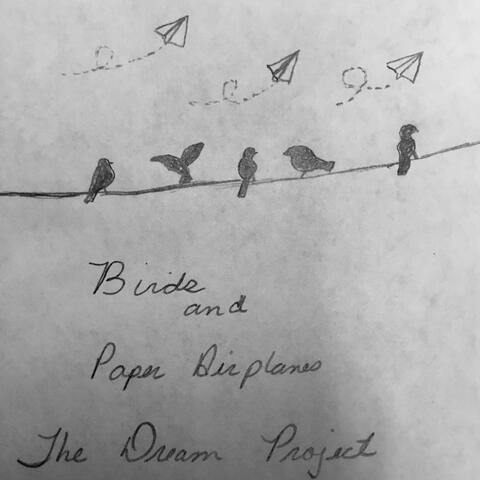 Birds and Paper Airplanes