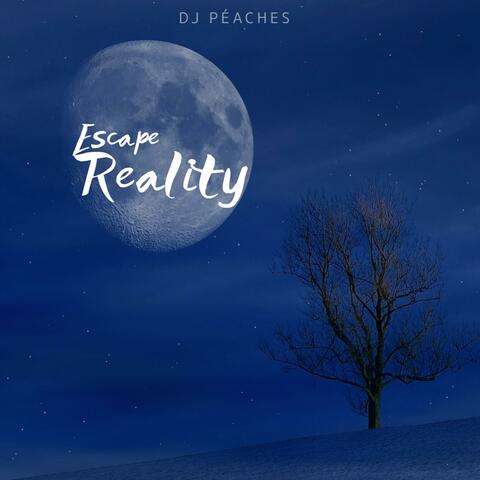 Escape reality
