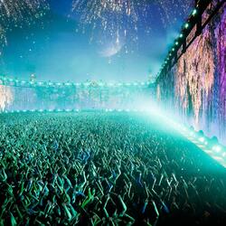 Just A Fool (feat. Narciss)