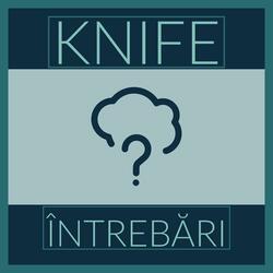 Intrebari