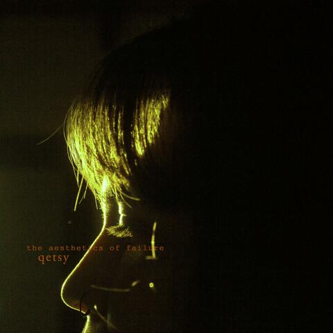 The Aesthetics of Failure