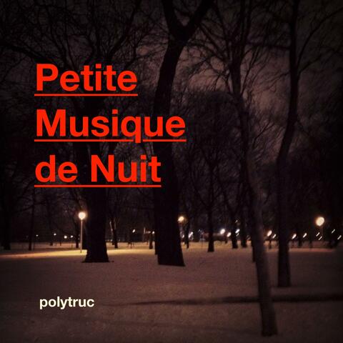 Petite Musique de Nuit