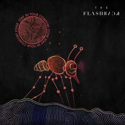 Stay in Your Comfort Zone