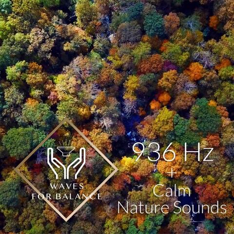 936 Hz + Nature Sounds Meditation Pineal Gland Activation 3rd Eye Opening Solfeggio Sleep