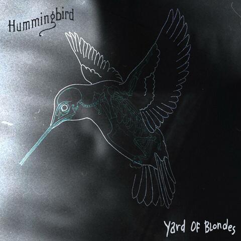 Hummingbird