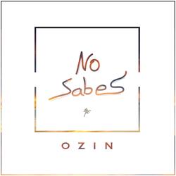 No Sabes