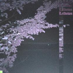 Letdown (feat. Just Fine & xobuttoneyes)