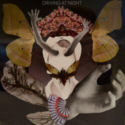 Sleepwalk