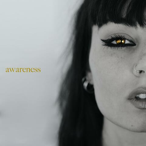 Awareness