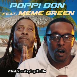 What You Trying To Do? (feat. Meme Green)