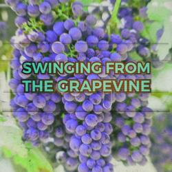 Swinging' From The Grapevine (feat. Tony Millions)