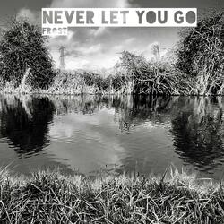 Never Let You Go