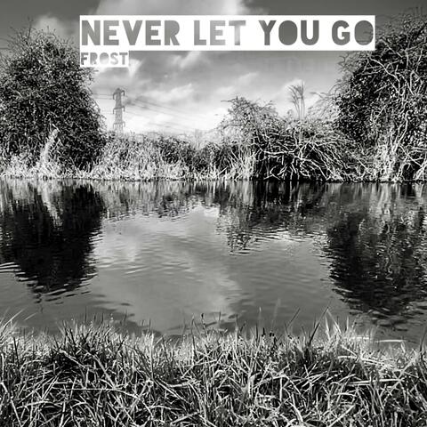 Never Let You Go