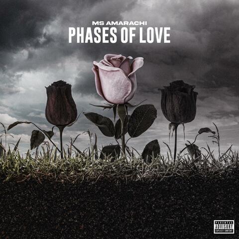 Phases of Love