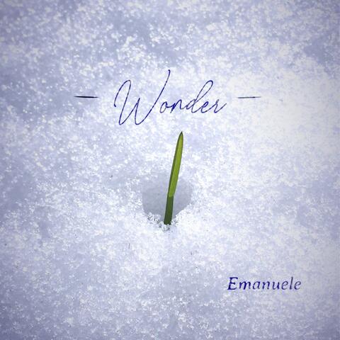 Wonder