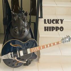 Lucky Hippo