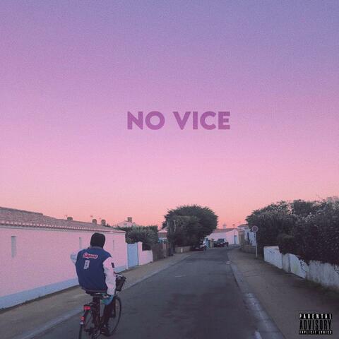 NO VICE