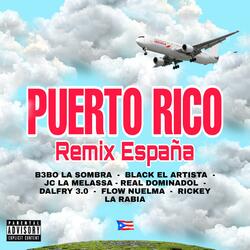 Puerto Rico (feat. B3bo La Sombra, JC La Melassa, Real Dominadol, Dalfry 3.0, Flow Nuelma & Rickey La Rabia)