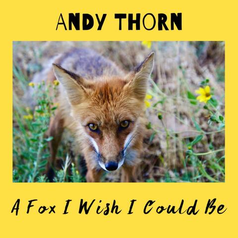 A Fox I Wish I Could Be