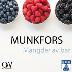 åk 3 HALLON