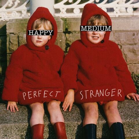Perfect Stranger
