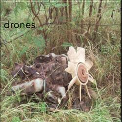 Drones