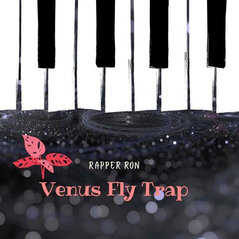 Venus Fly Trap