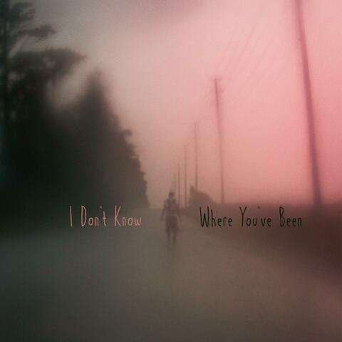 I Don't Know Where You've Been