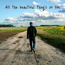 ALL THE BEAUTIFUL THINGS OF LIFE