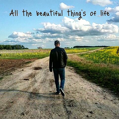 ALL THE BEAUTIFUL THINGS OF LIFE