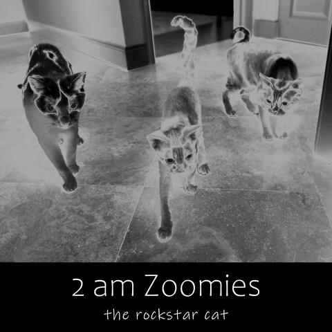 2 am Zoomies (feat. Eddie Khoriaty)