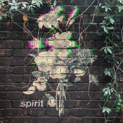 spirit