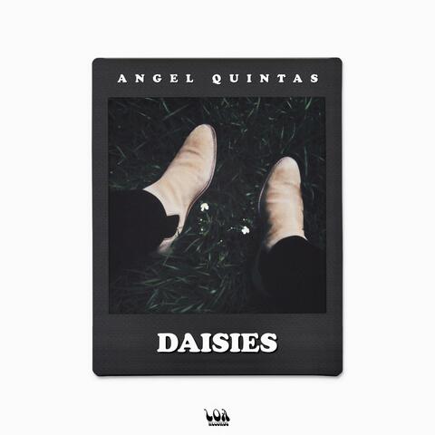 Daisies