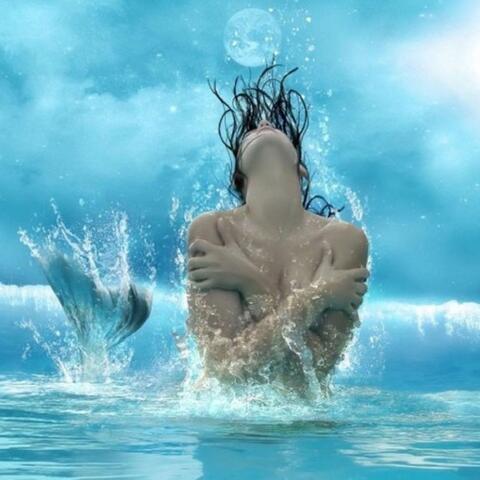 Siren's call