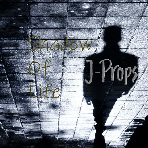 Shadow Of Life
