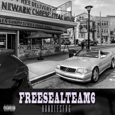 Freesealteam6