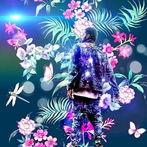 ICANFLY