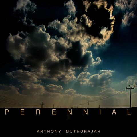 Perennial