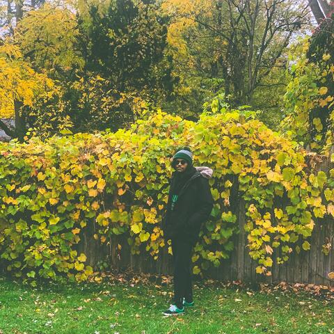 Edith 2 (Radio Edit)