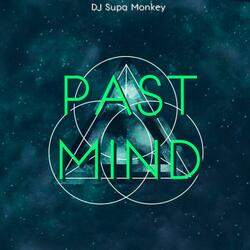 Past Mind