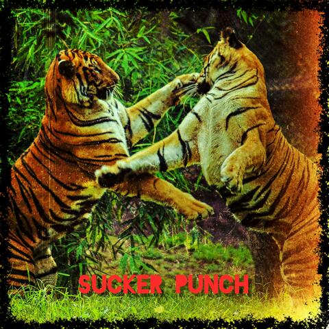 Sucker Punch (feat. Nilla)
