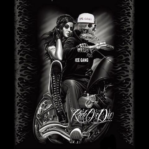 Rider