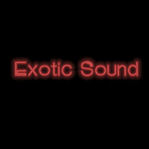Exotic Sound (Remix)